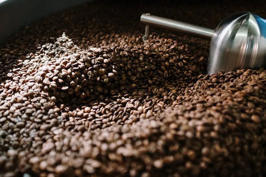From Bean to Brew: The Journey of Decaf Coffee